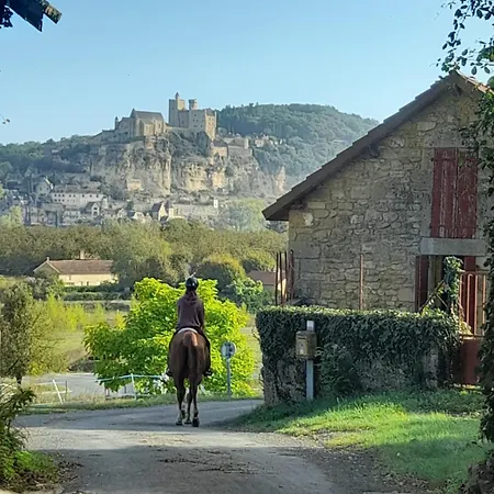 Ferienhaus Maison De Charme Pour Huit A Neuf Personnes Proche Sarlat Et Vallee De La Dordogne Au Calme